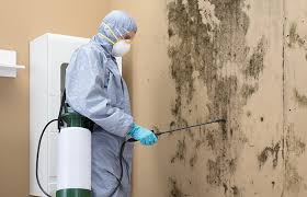  , USA Mold Removal Services Pros